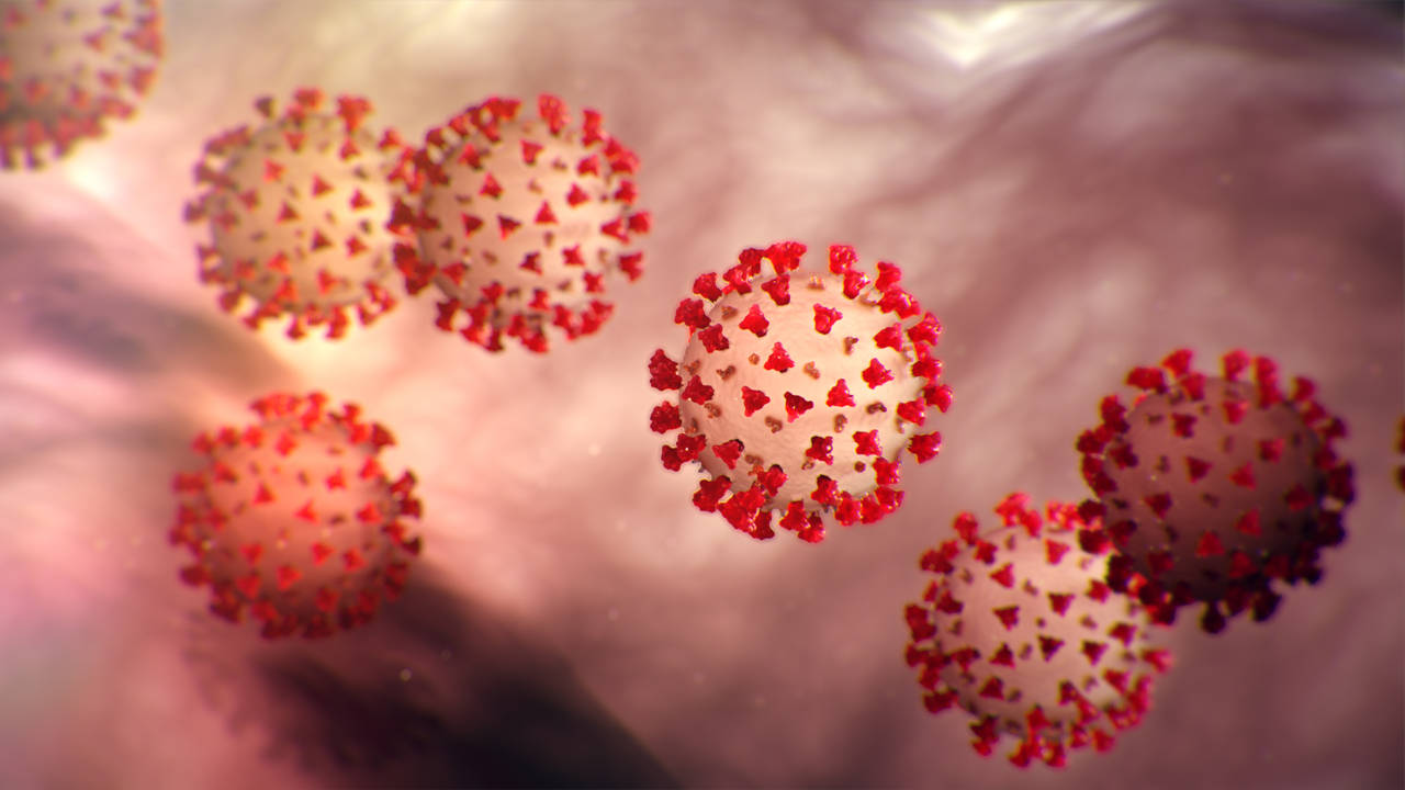 Tiny Particles Of Coronavirus Wallpaper