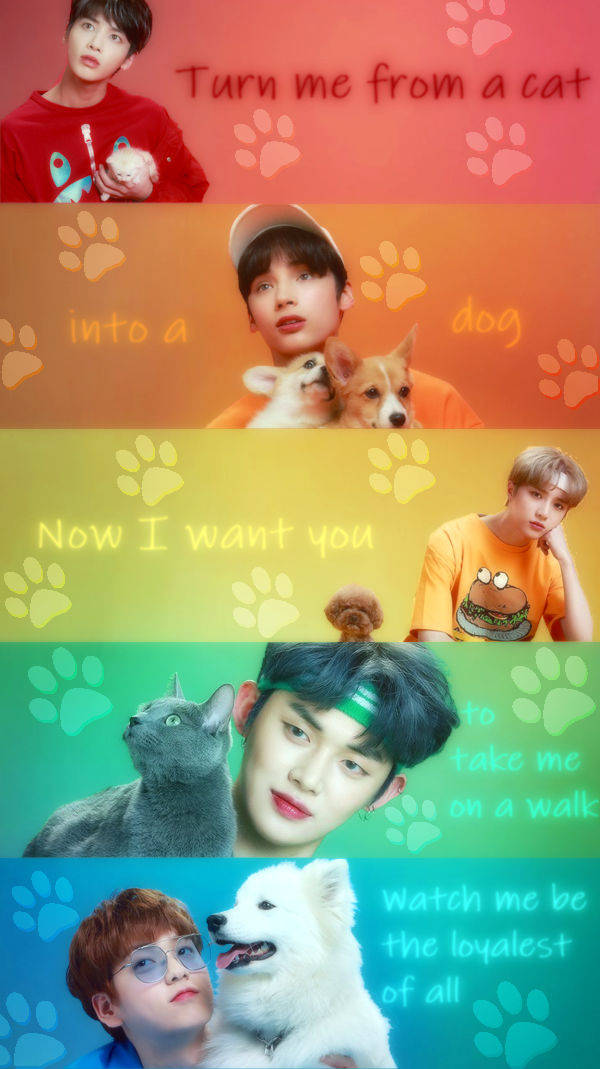 Tomorrow X Together Cat & Dog Lyrics Wallpaper