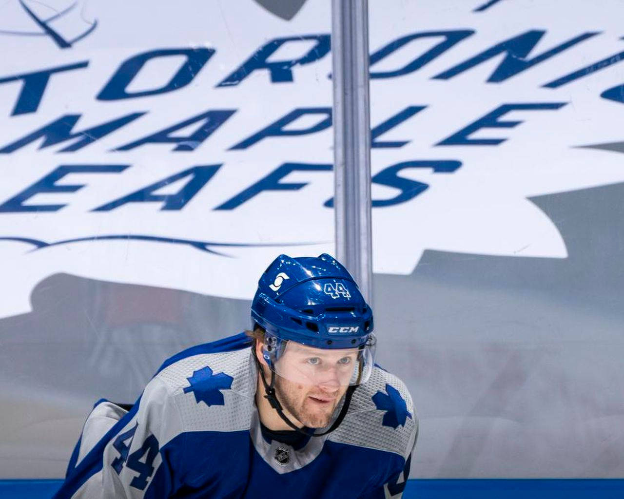 Toronto Maple Leafs Logo Morgan Rielly Wallpaper