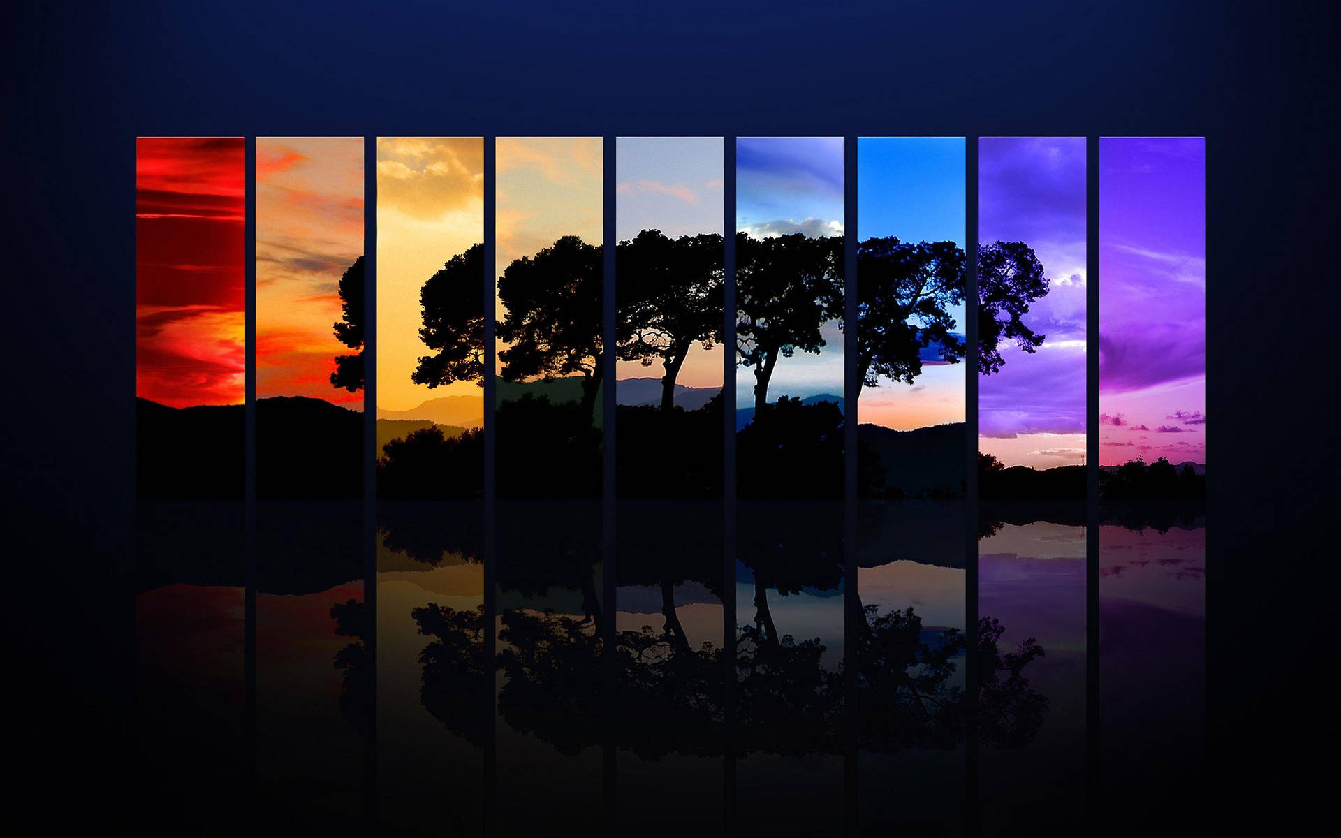 Tree Silhouettes Side-by-side Cool Pc Wallpaper