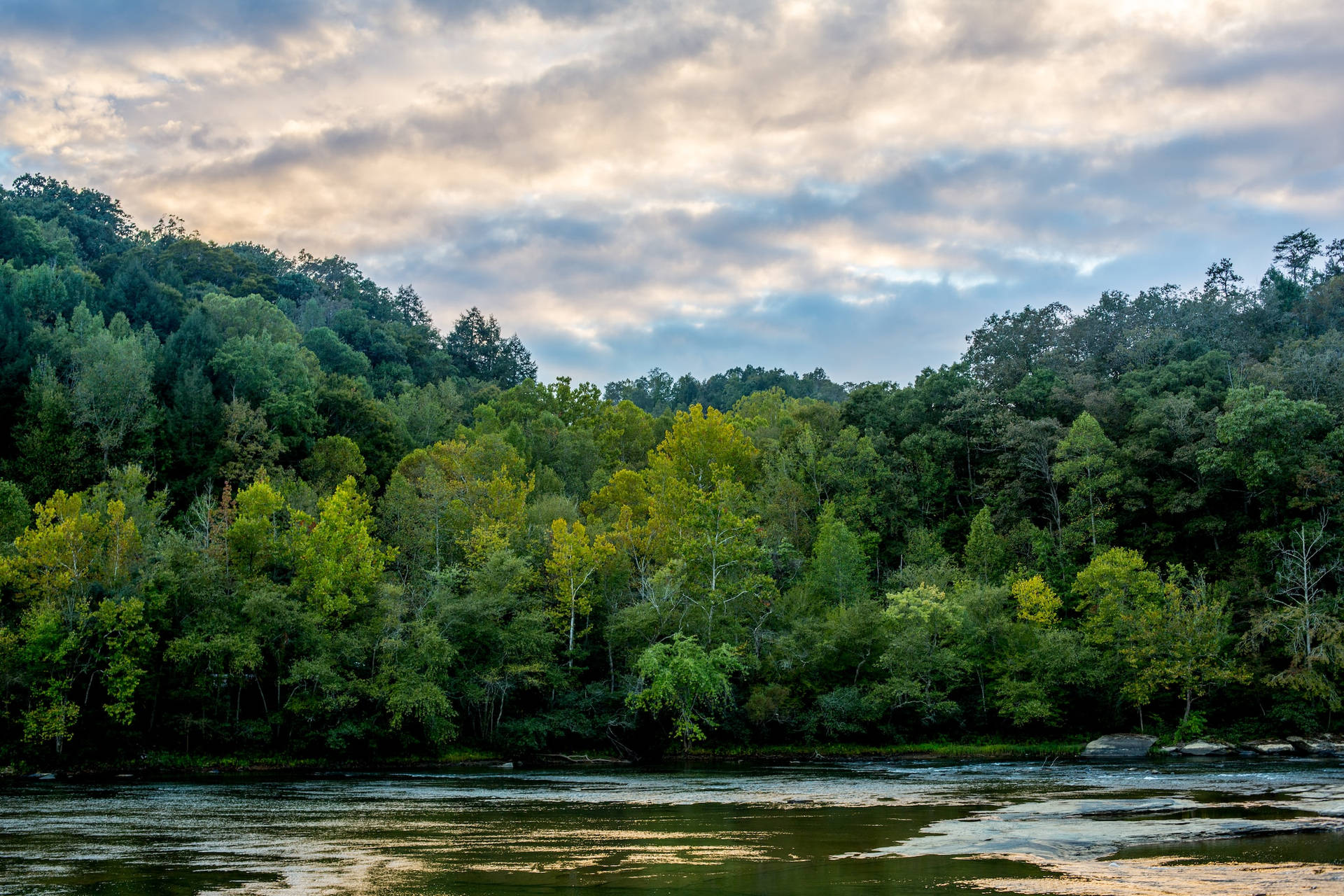 Trees Along Cumberland River Kentucky Wallpaper