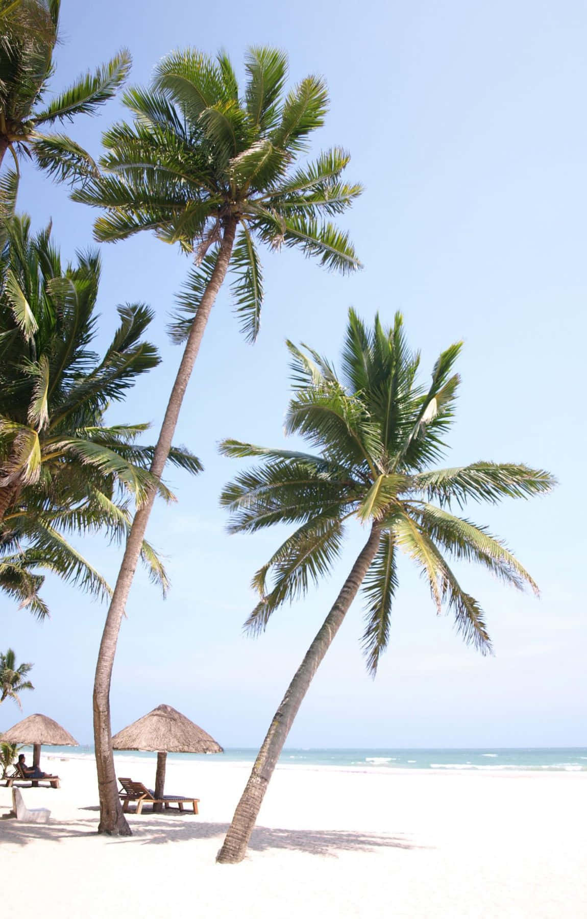 Tropical Beach Scene Cottages Coconut Trees Wallpaper