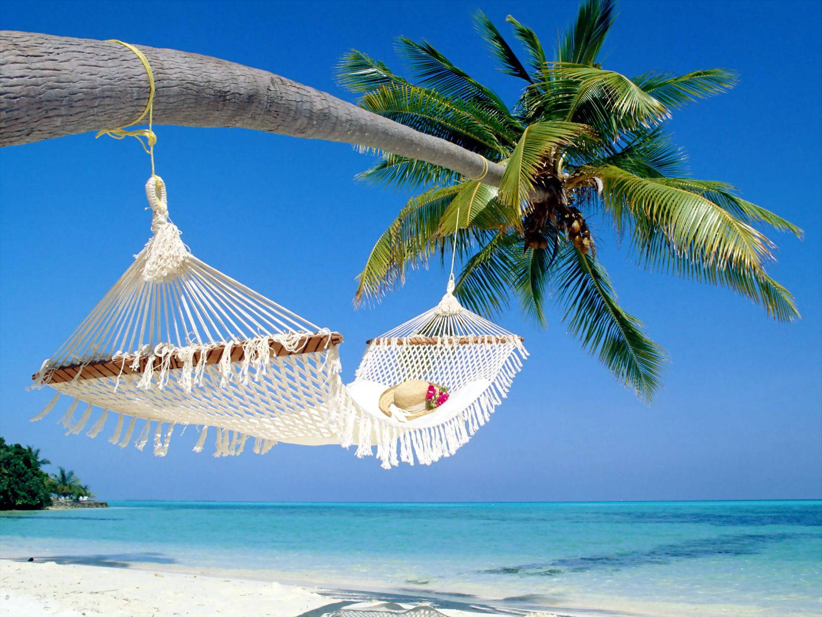 Tropical Beach With Palm Tree Desktop Wallpaper