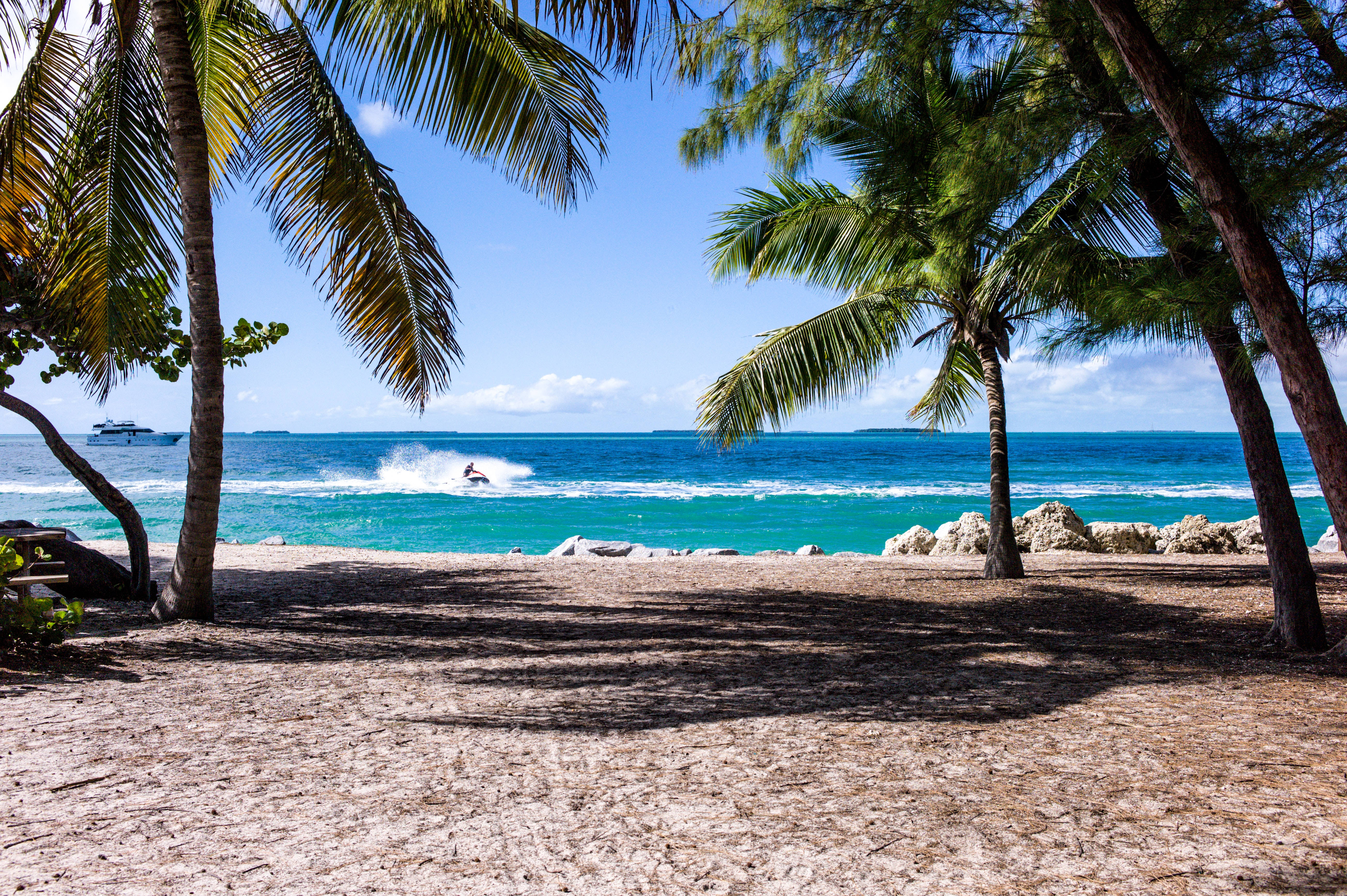 Tropical Coconut Trees 1920x1080 Hd Beach Desktop Wallpaper