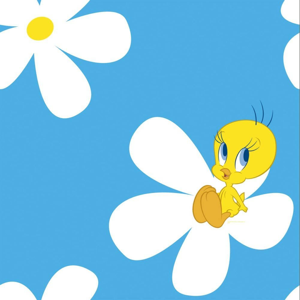 Tweety Bird On A Flower Wallpaper