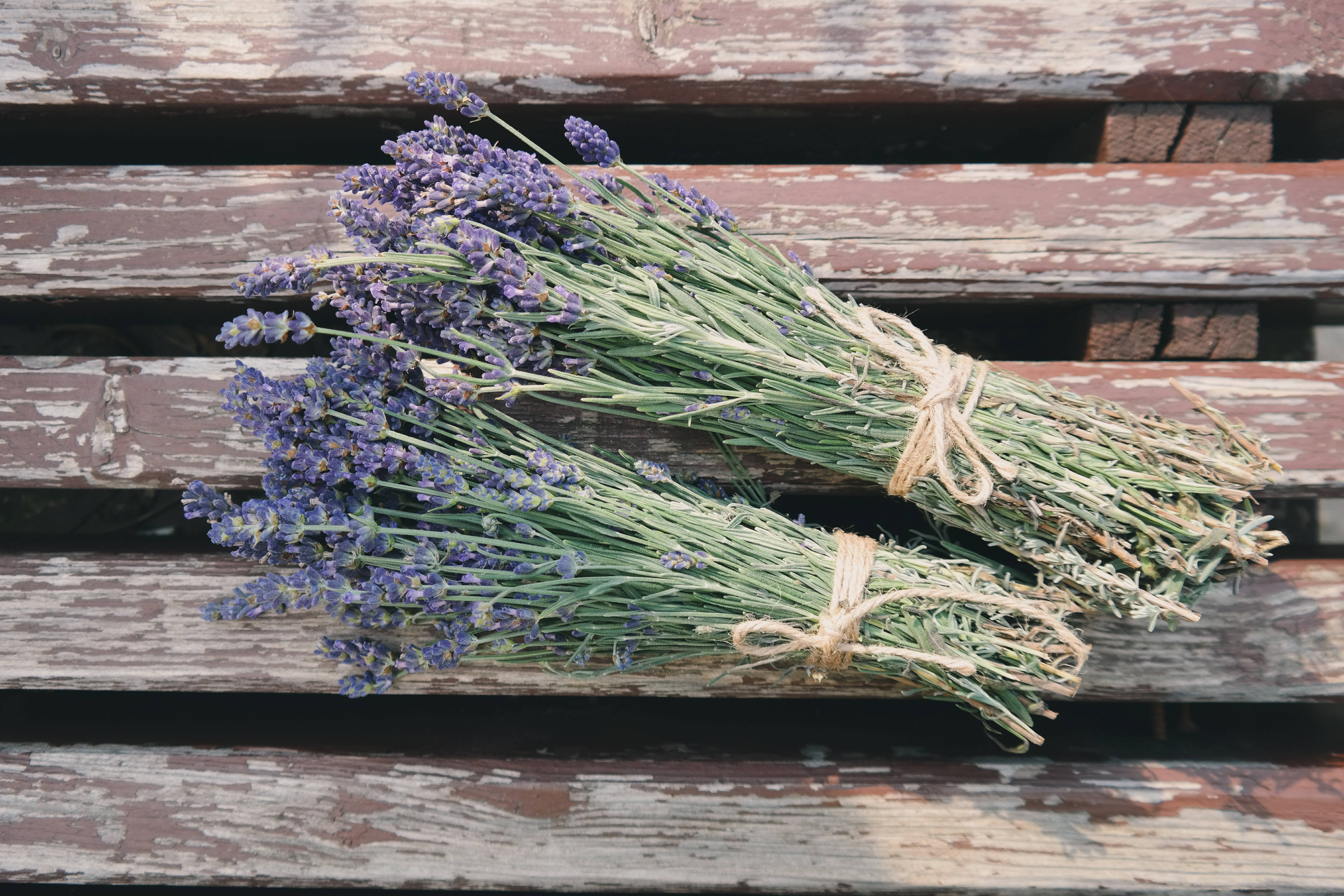 Two Bundles Of Lavender Desktop Wallpaper