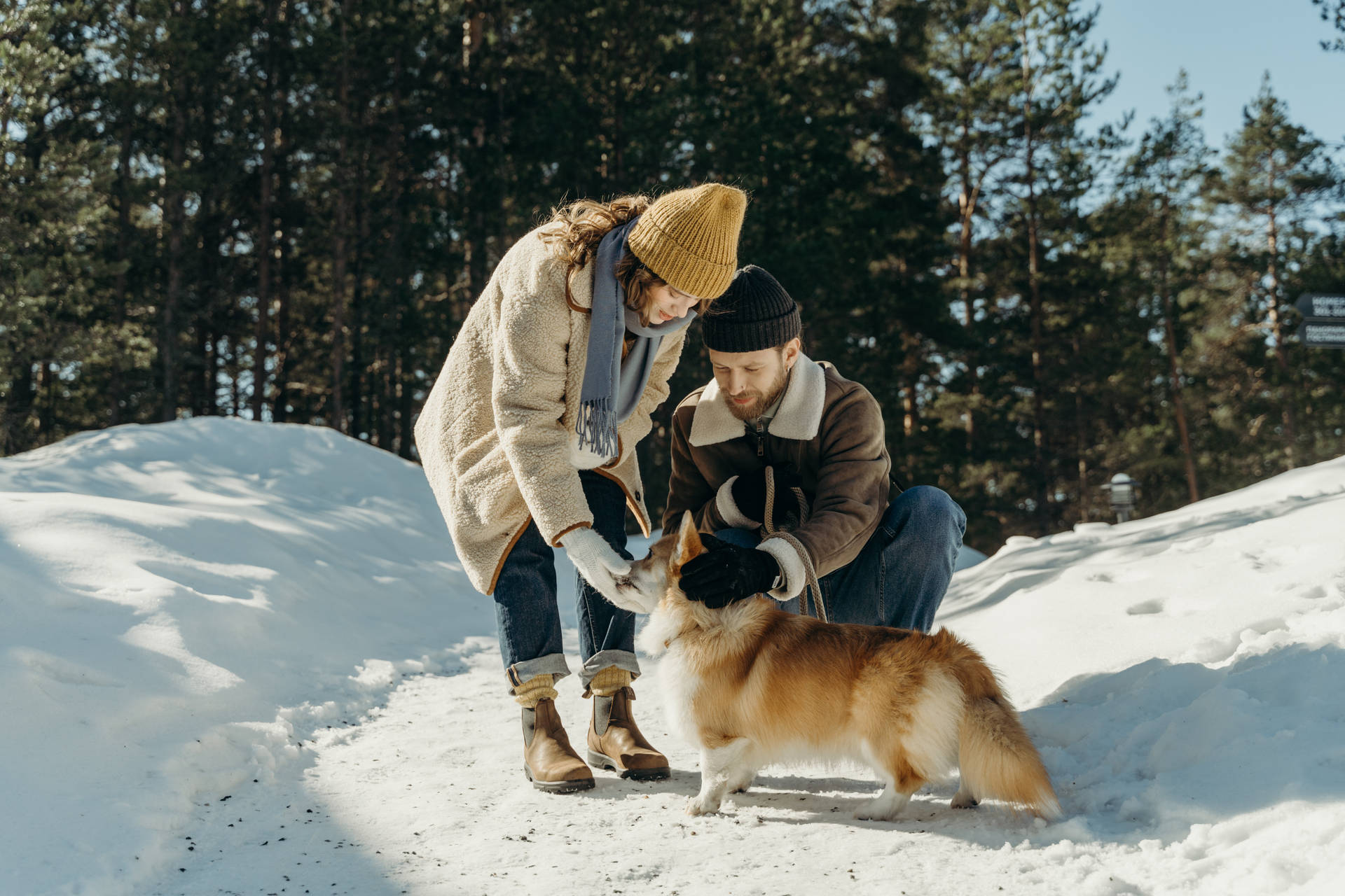 Two Cool People With Dog During Winter Wallpaper