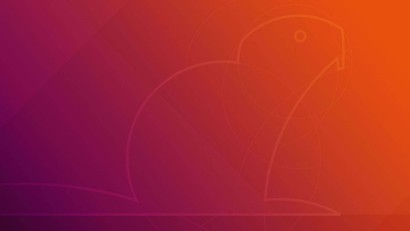 Ubuntu Raving Rabbit Hd Wallpaper