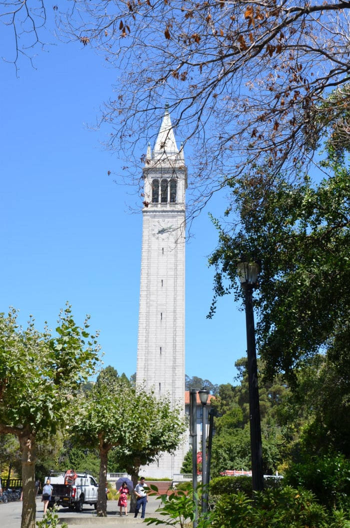 Ucb Sather Tower Portrait Wallpaper