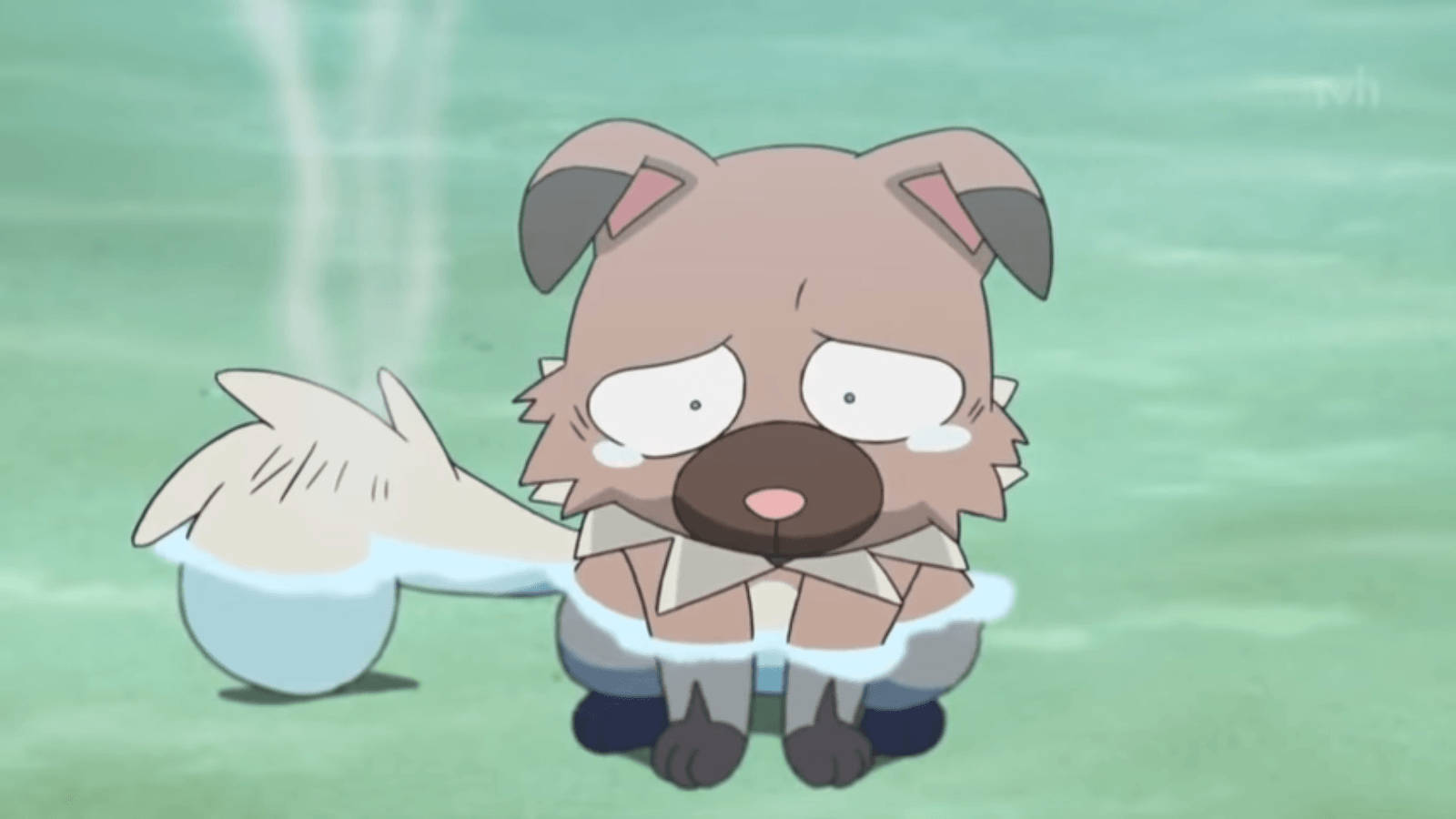 Unhappy Wet Rockruff Wallpaper