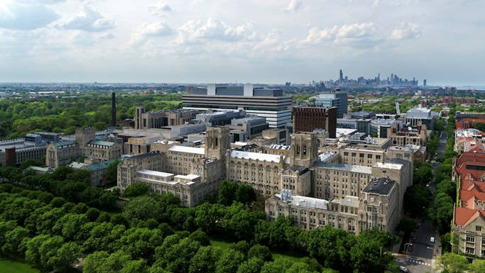 University Of Chicago Entrancing Buildings Wallpaper