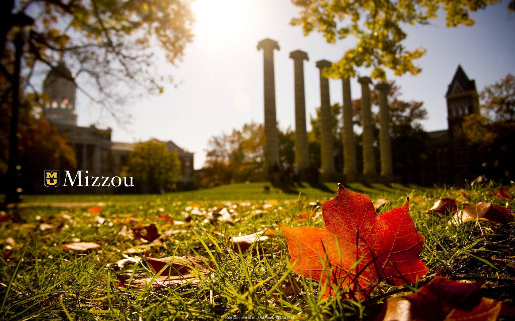 University Of Missouri Autumn Leaves And Columns Wallpaper