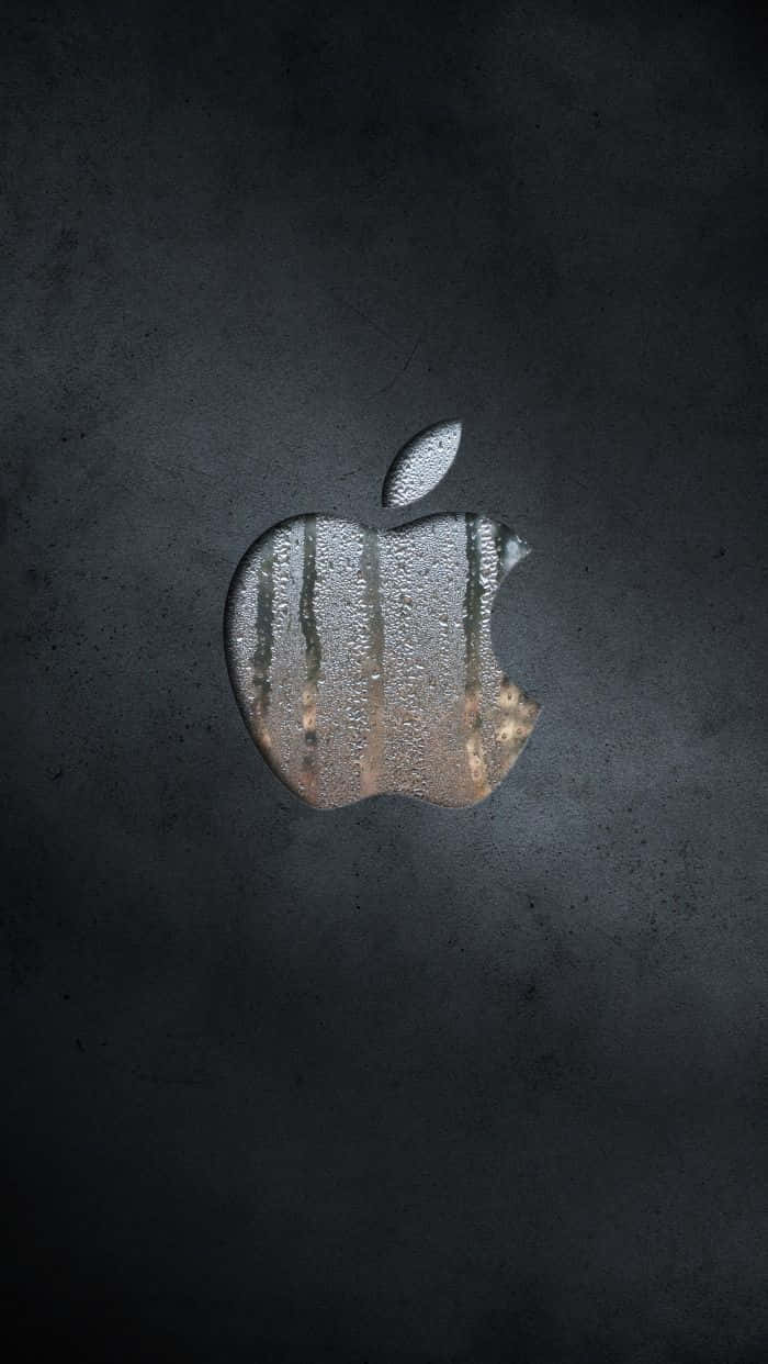 Upgrade To The Best Iphone 7 Plus Wallpaper