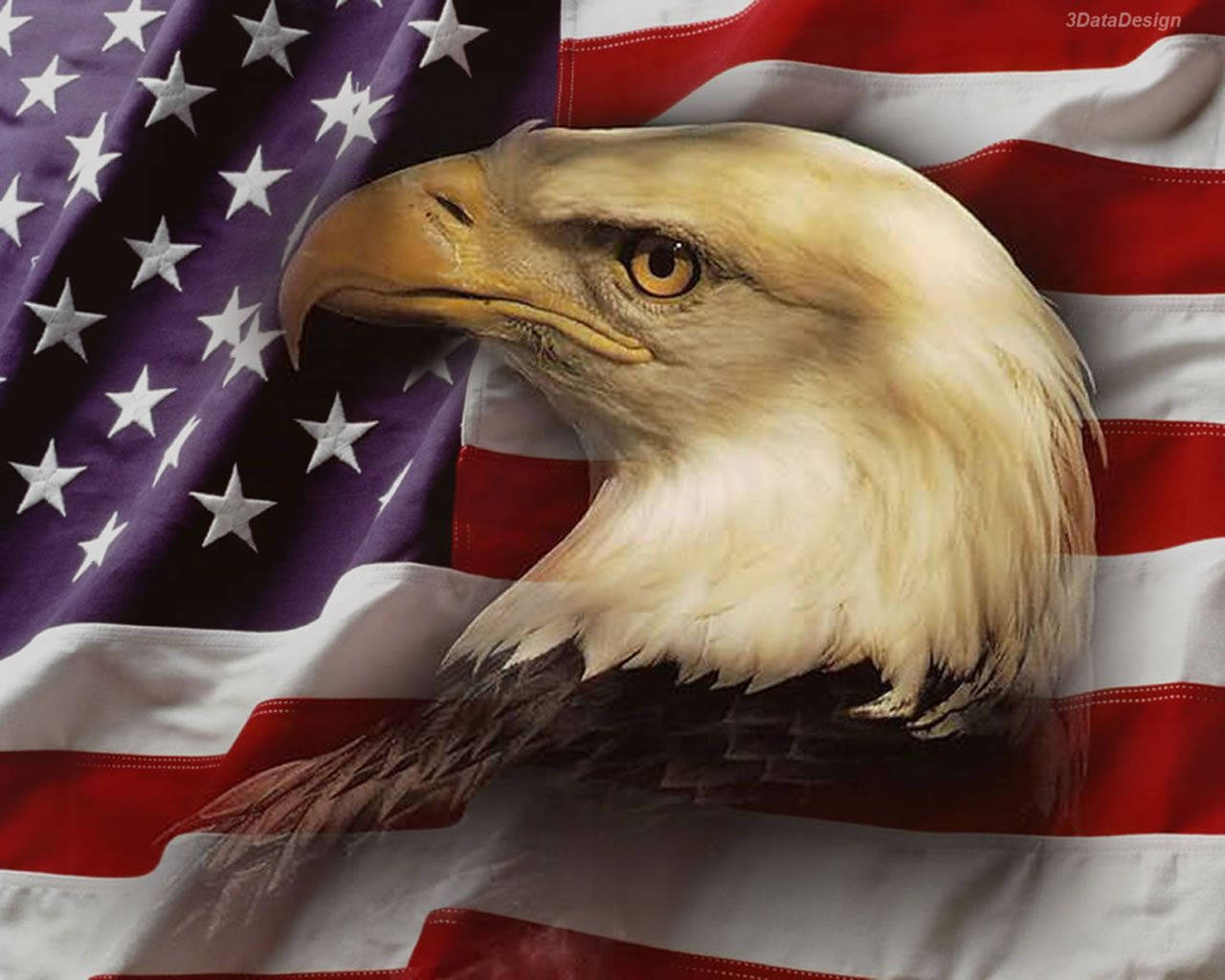 Us Eagle And Usa Flag Wallpaper