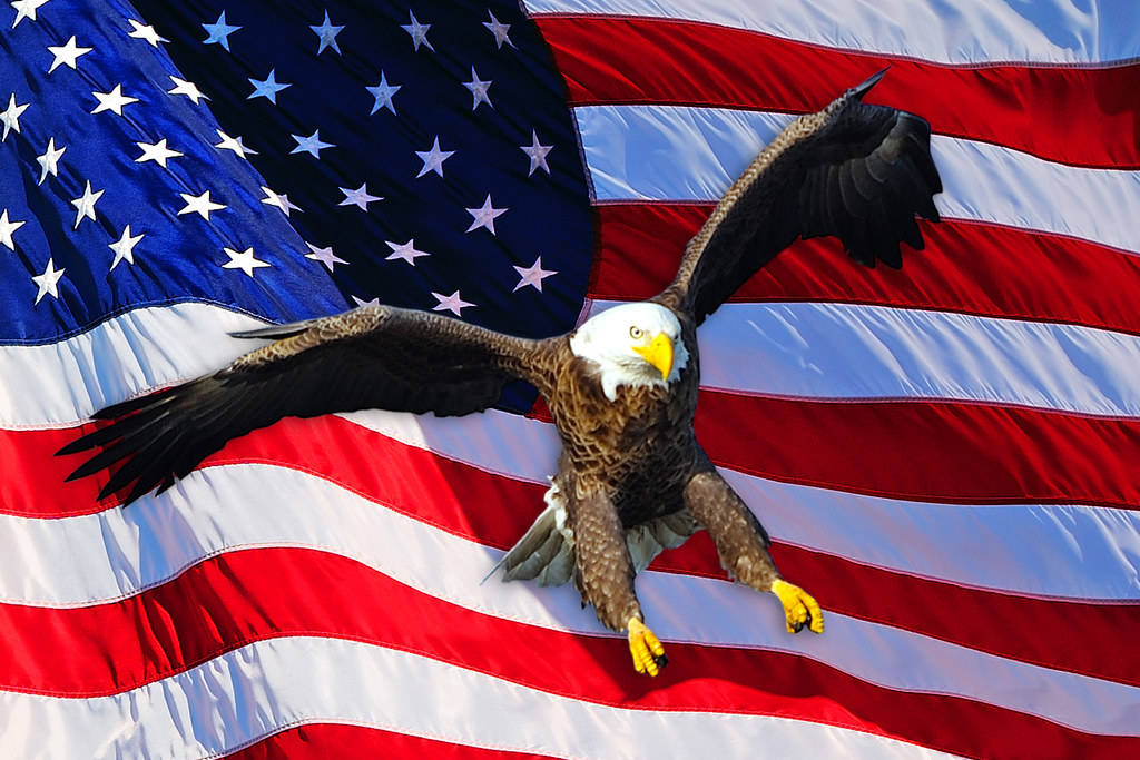 Us Eagle X American Flag Wallpaper