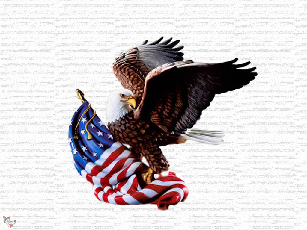Usa American Eagle Wallpaper