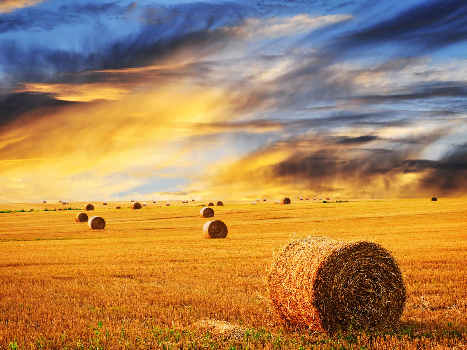 Vast Land Morning Glory Fine Day Wallpaper