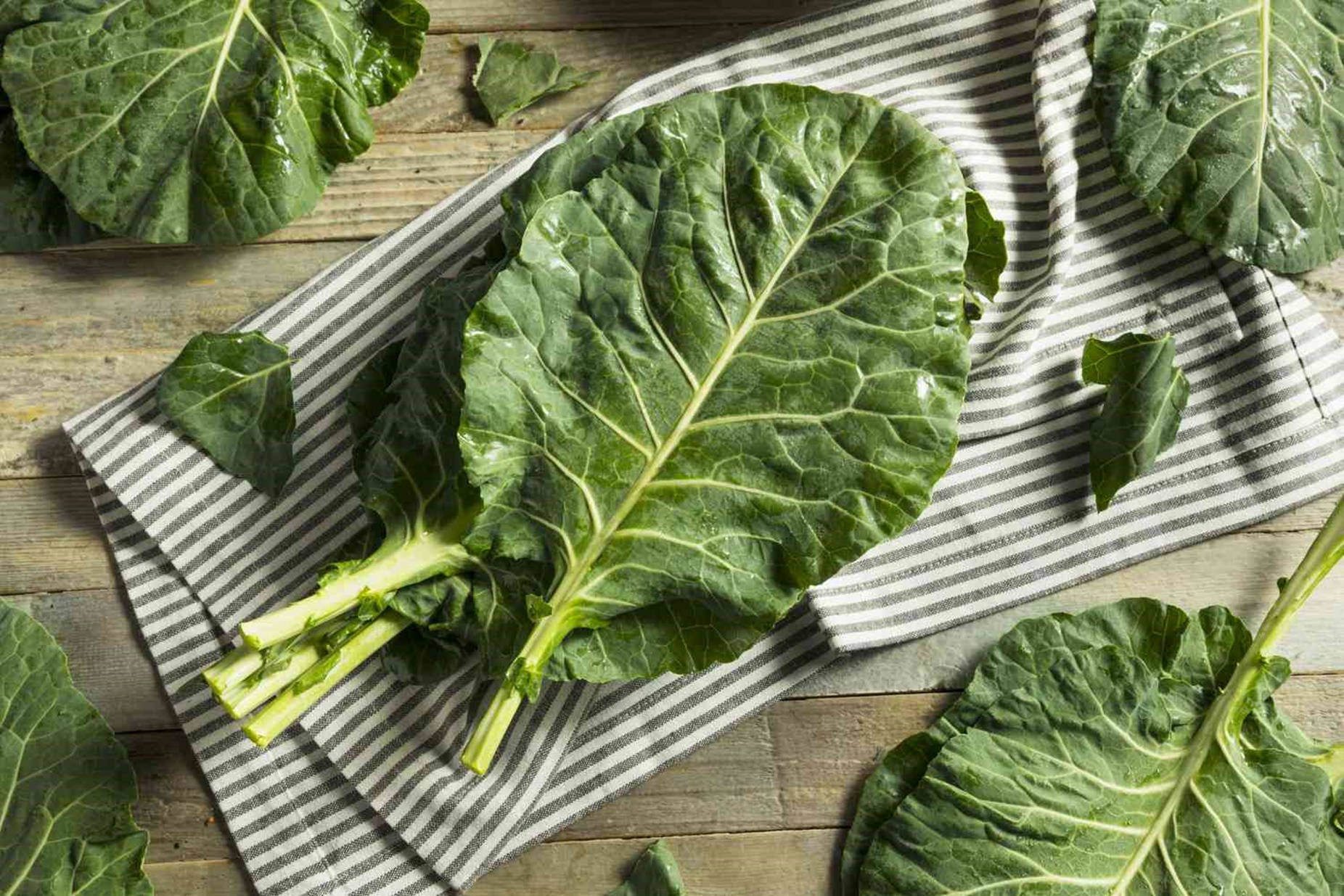 Vegetable Collard Greens Creative Shot Wallpaper