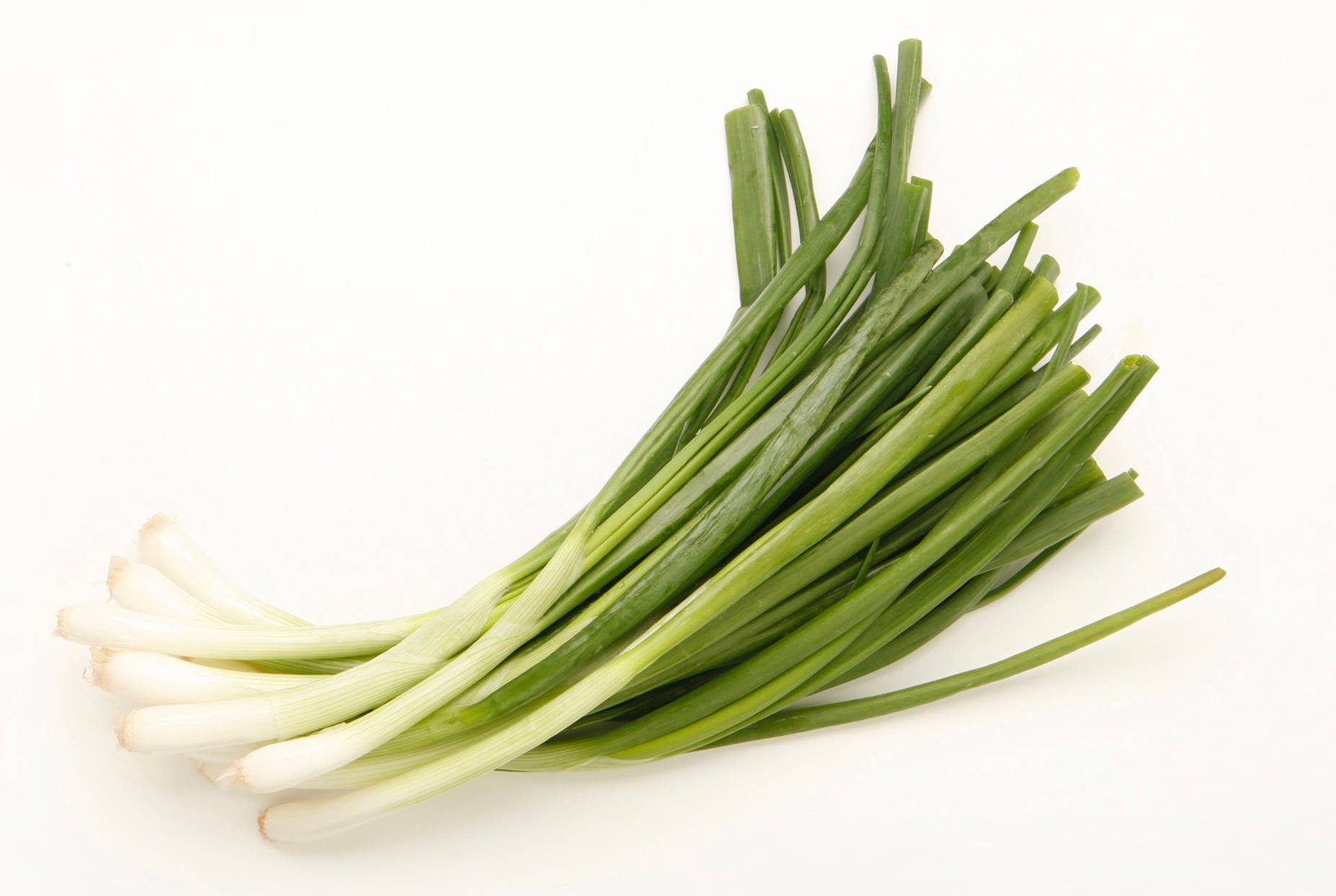 Vegetable Photography Green Onion Bundle Wallpaper