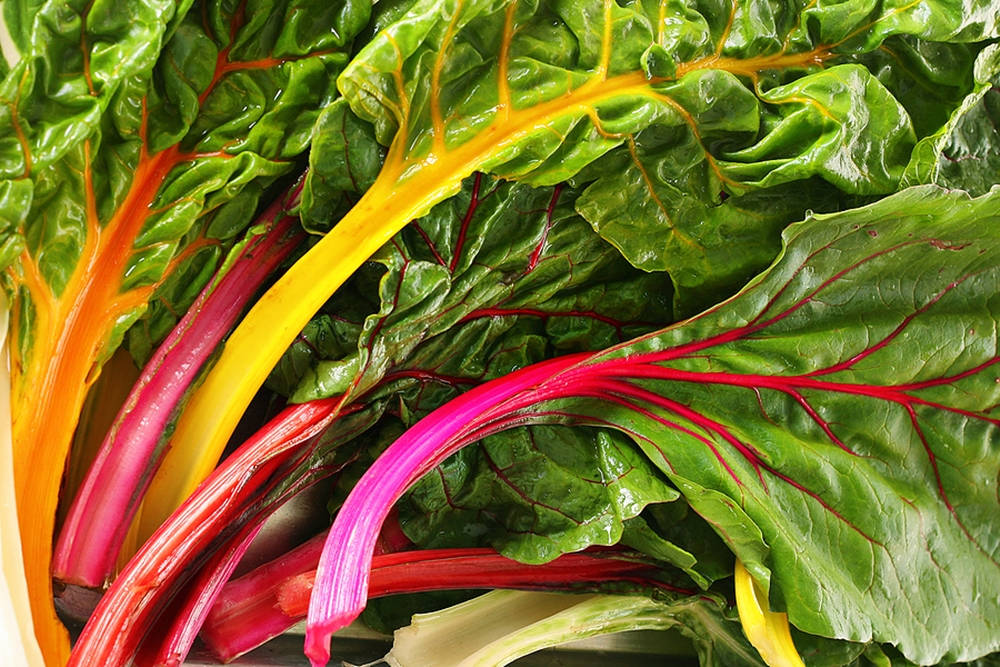 Vibrant And Fresh Swiss Chard Wallpaper