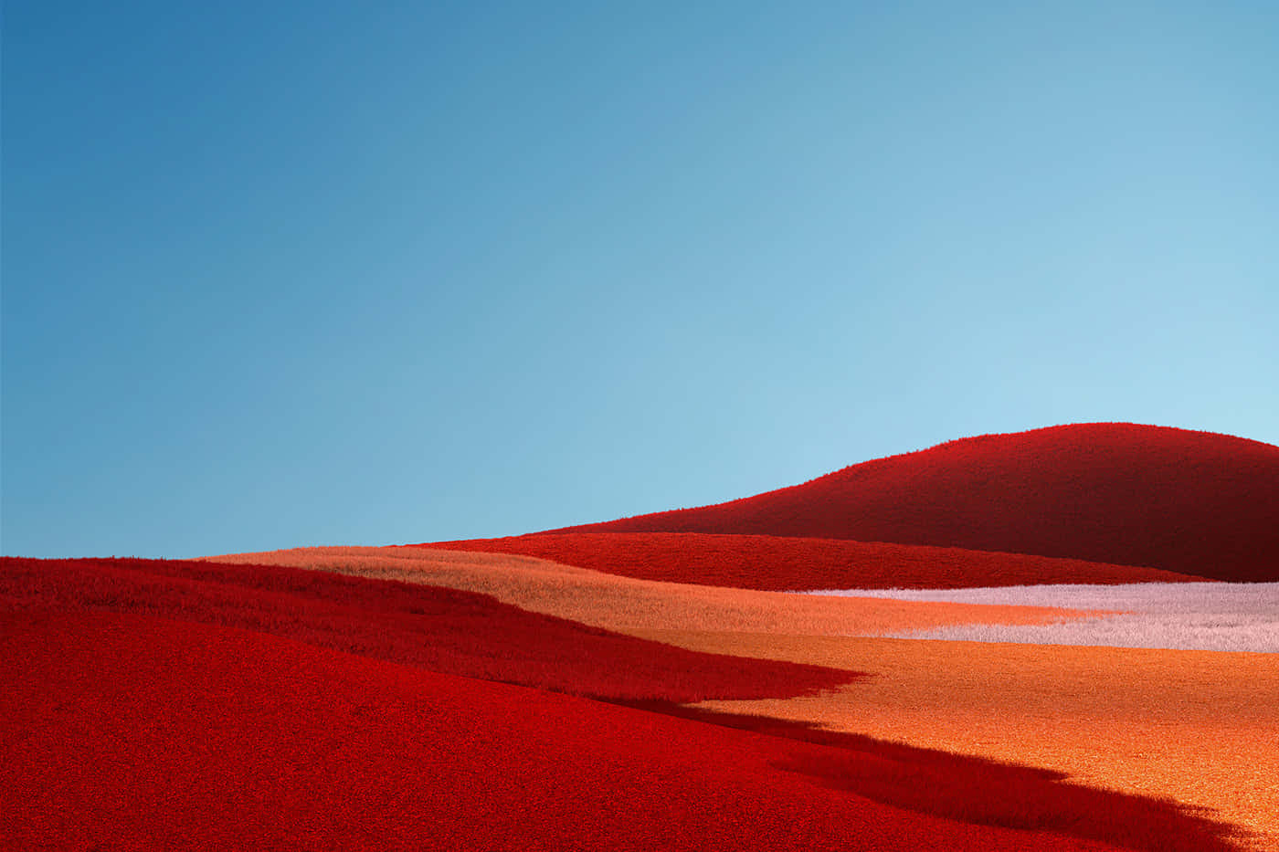 Vibrant Red Sand Dunes Under Blue Sky Wallpaper