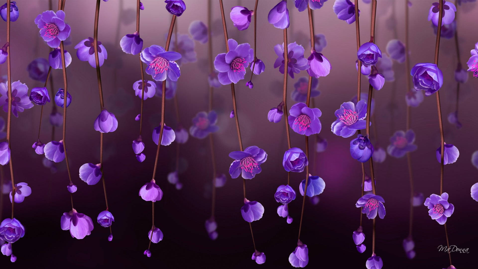 Vines With Purple Flower Pc Wallpaper