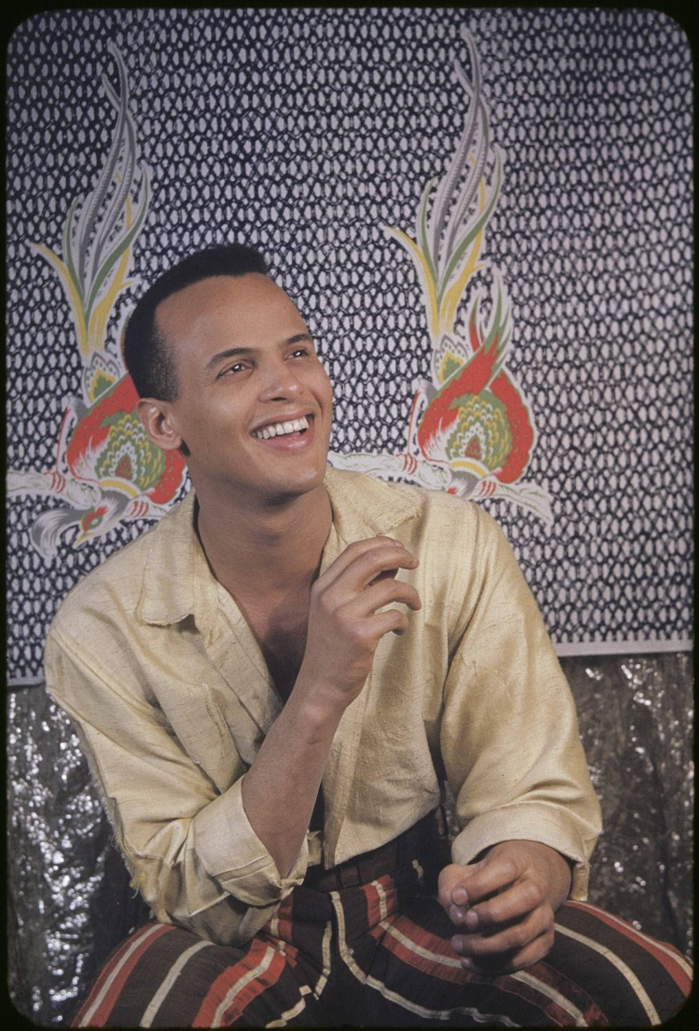 Vintage Harry Belafonte Singer Wallpaper