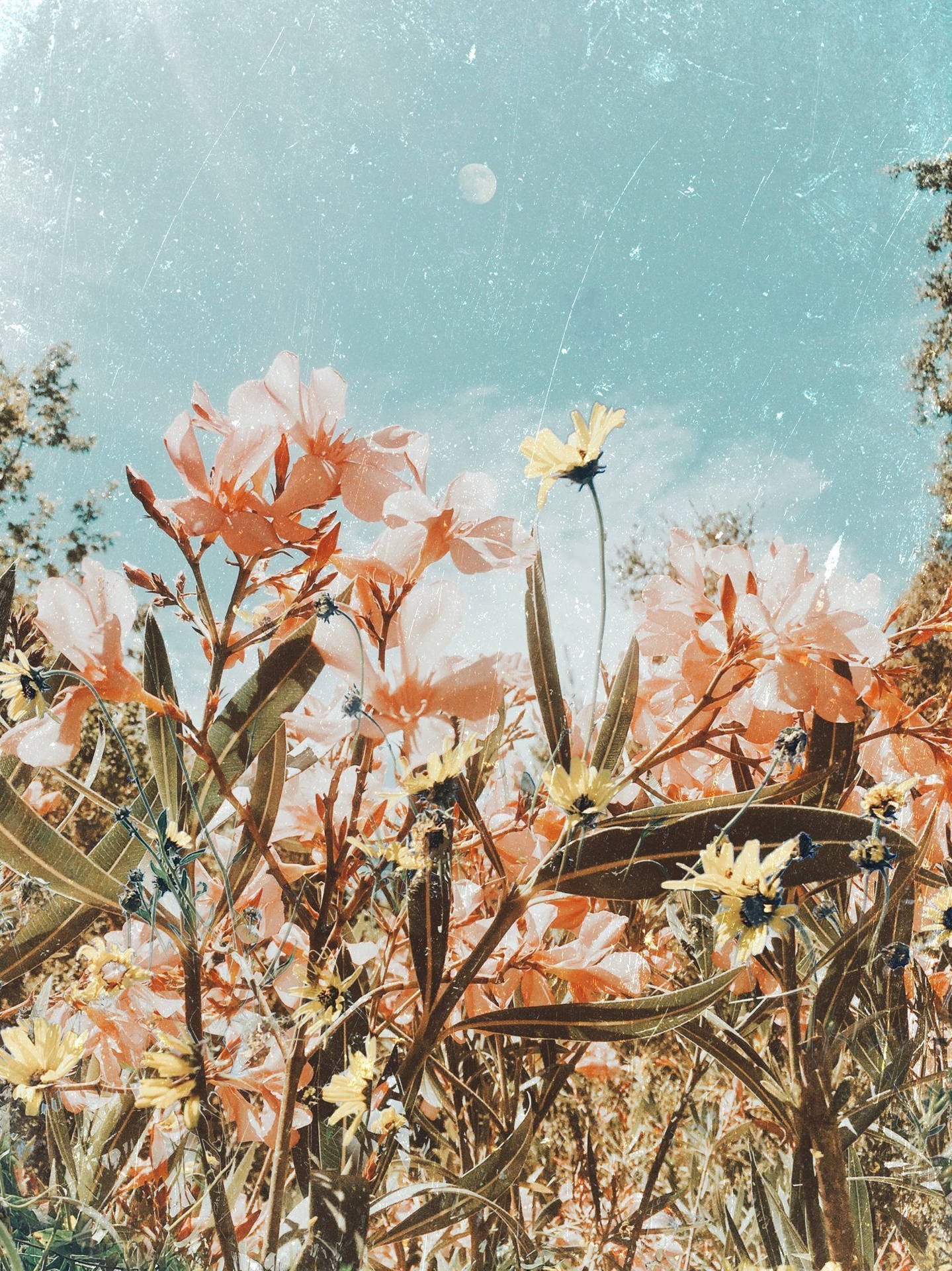 Vintage Spring Aesthetic Flowers Wallpaper