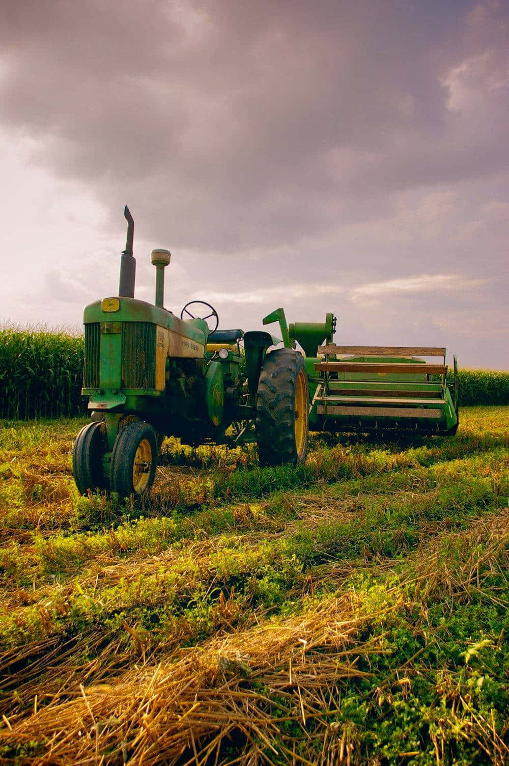 Vintage_ Tractor_in_ Field Wallpaper