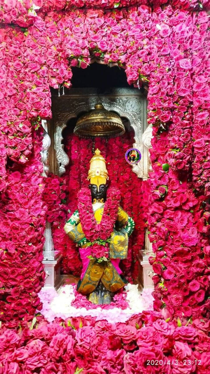 Vitthal Chantry Full Of Pink Flowers Wallpaper