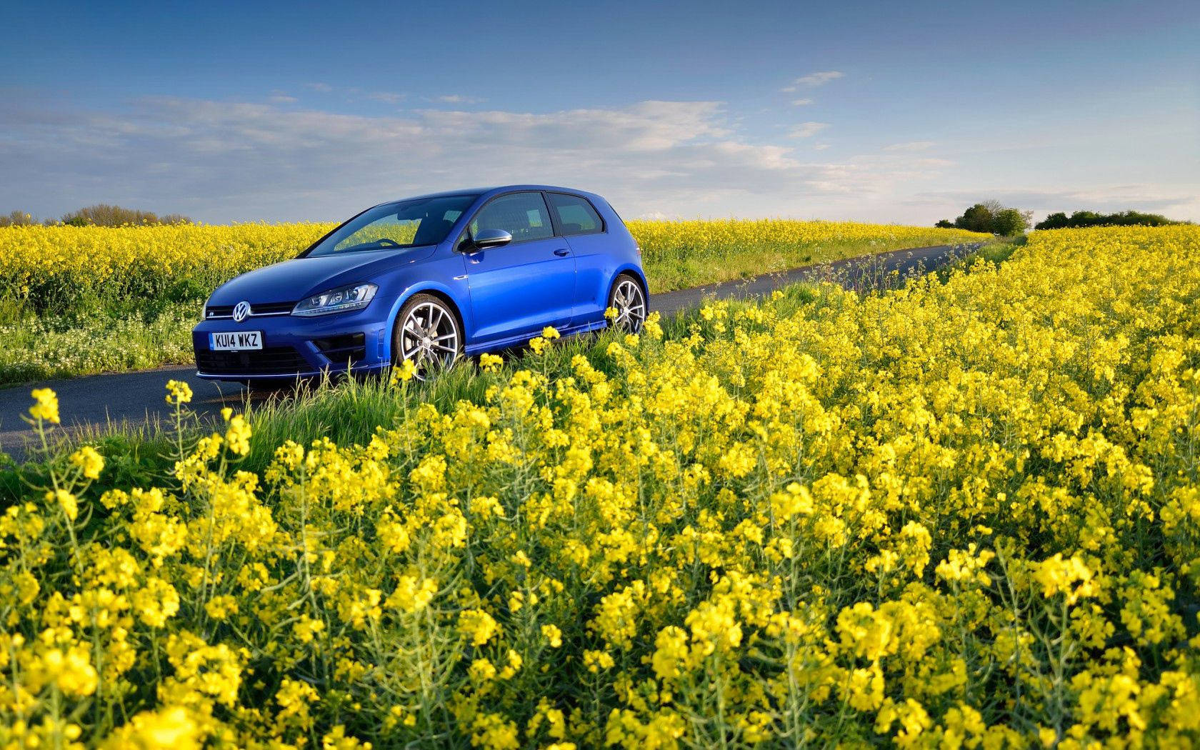Volkswagen, Golf R, Mk7, Flowers, Field Wallpaper