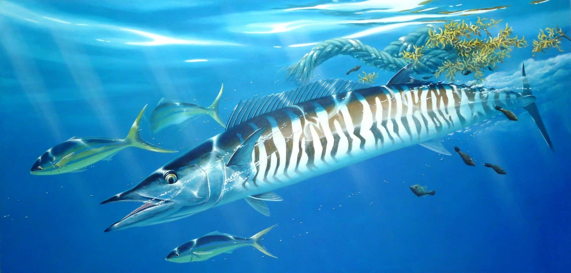 Wahoo Fish Swimming Underwater Wallpaper