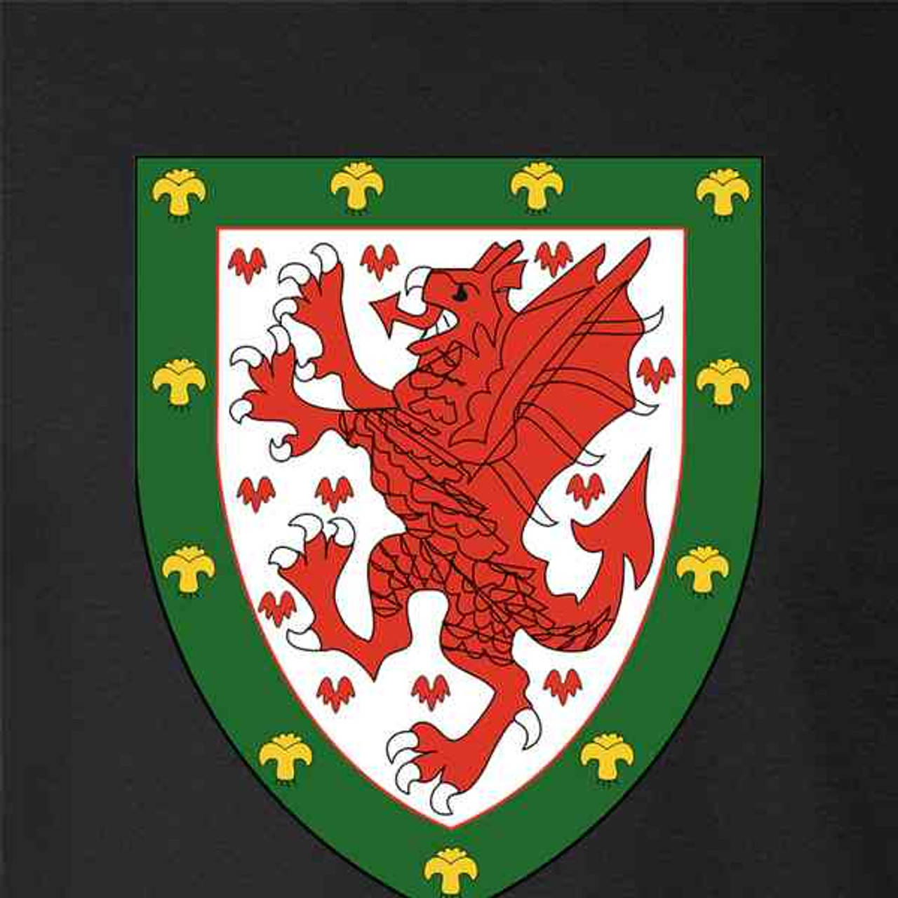 Wales National Football Team's Proud Shield Crest Wallpaper