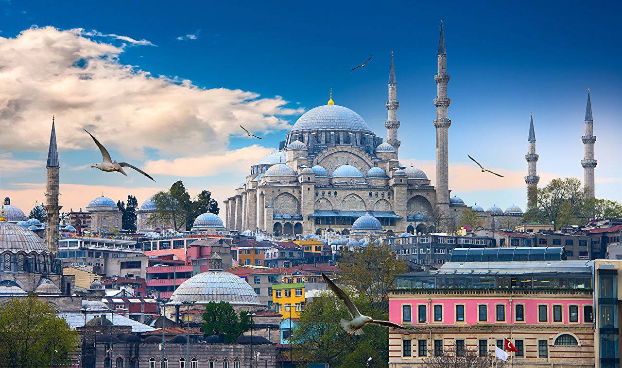 Wallpaper Istanbul Birds Mosque Turkey Temples Cities Clouds Wallpaper