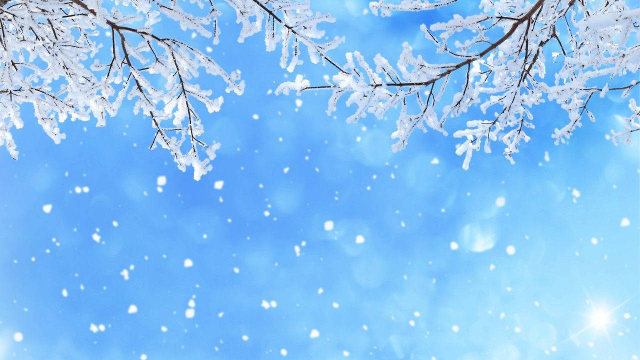 Wallpaper Winter Snow, Snowfall, Branches, 5k, Nature Wallpaper