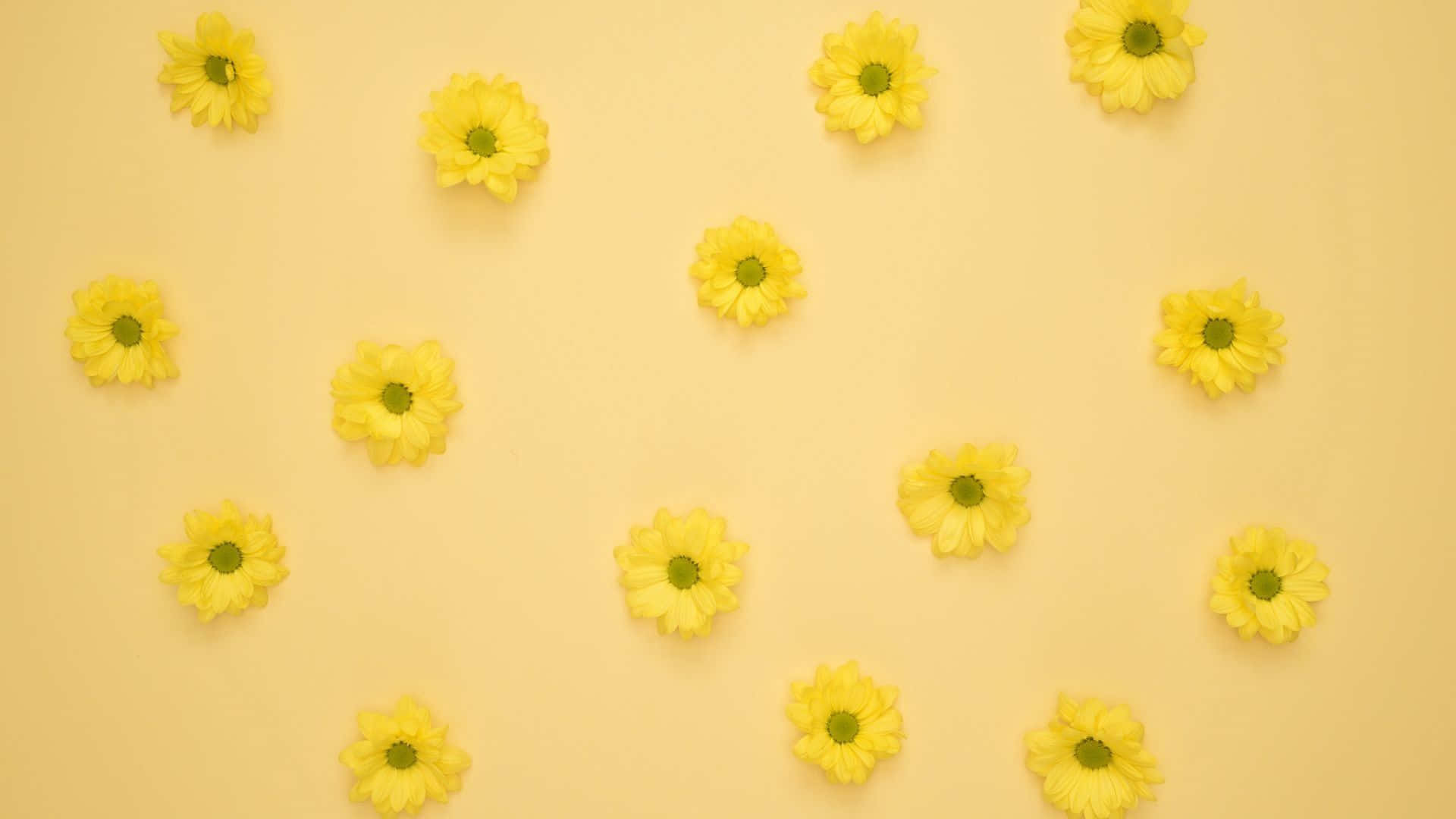 Warm And Cheerful Yellow Aesthetic Wallpaper