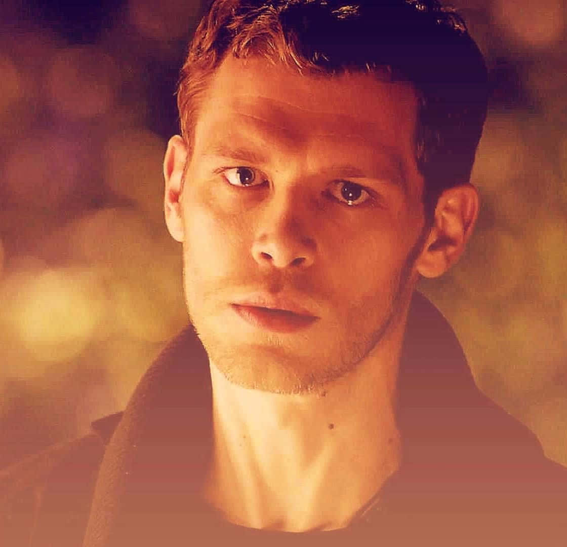 Warm Klaus Mikaelson Wallpaper