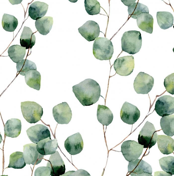 Watercolor Paint Eucalyptus Wallpaper