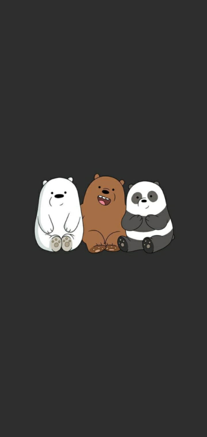 We Bare Bears Aesthetic Black Wallpaper