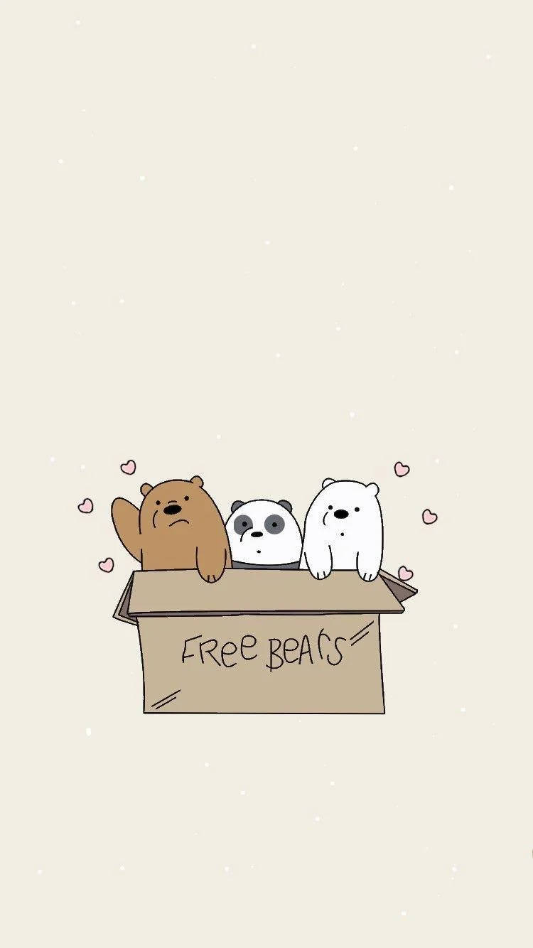 We Bare Bears Aesthetic Box Wallpaper