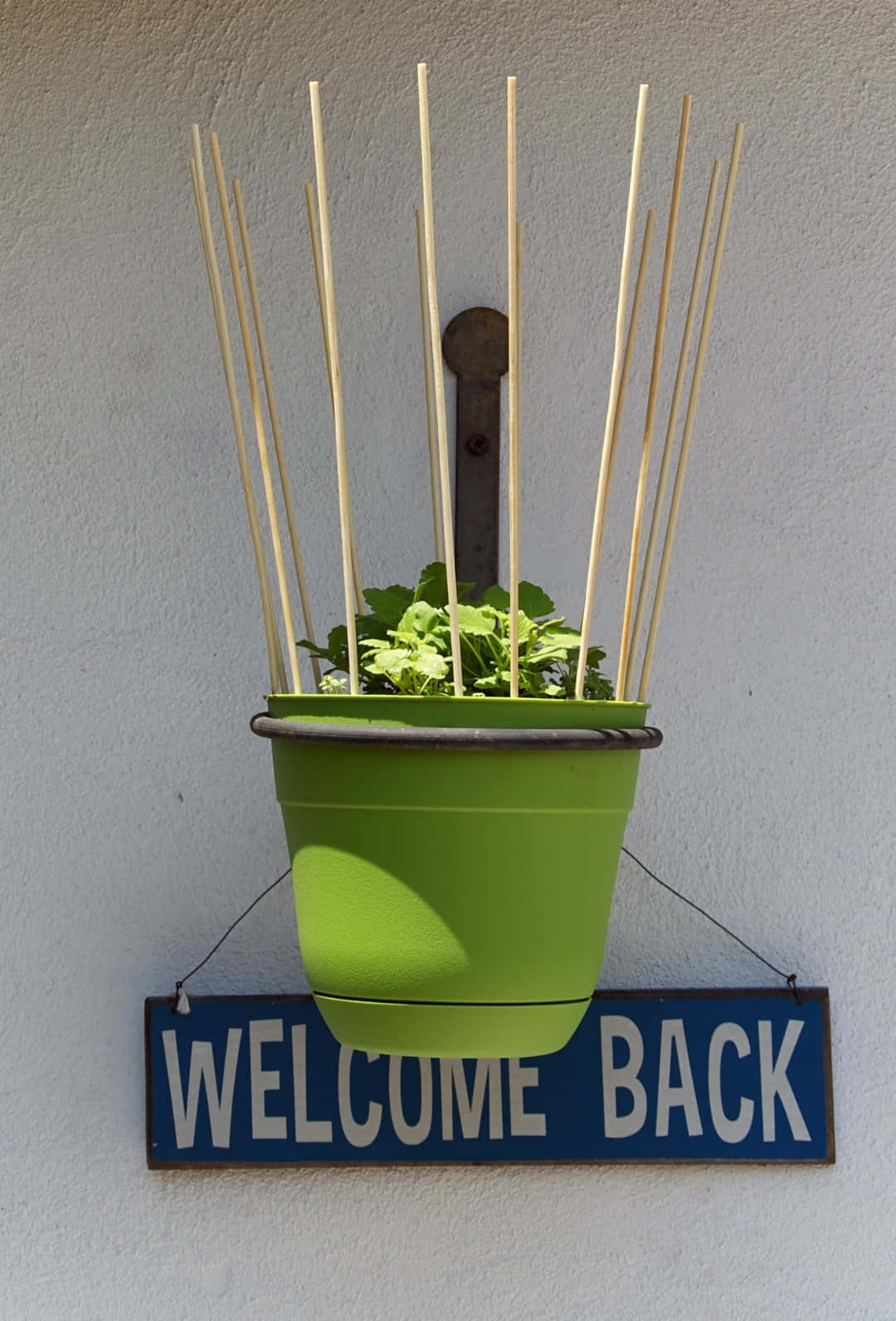 Welcome Back Green Planter Sign Wallpaper