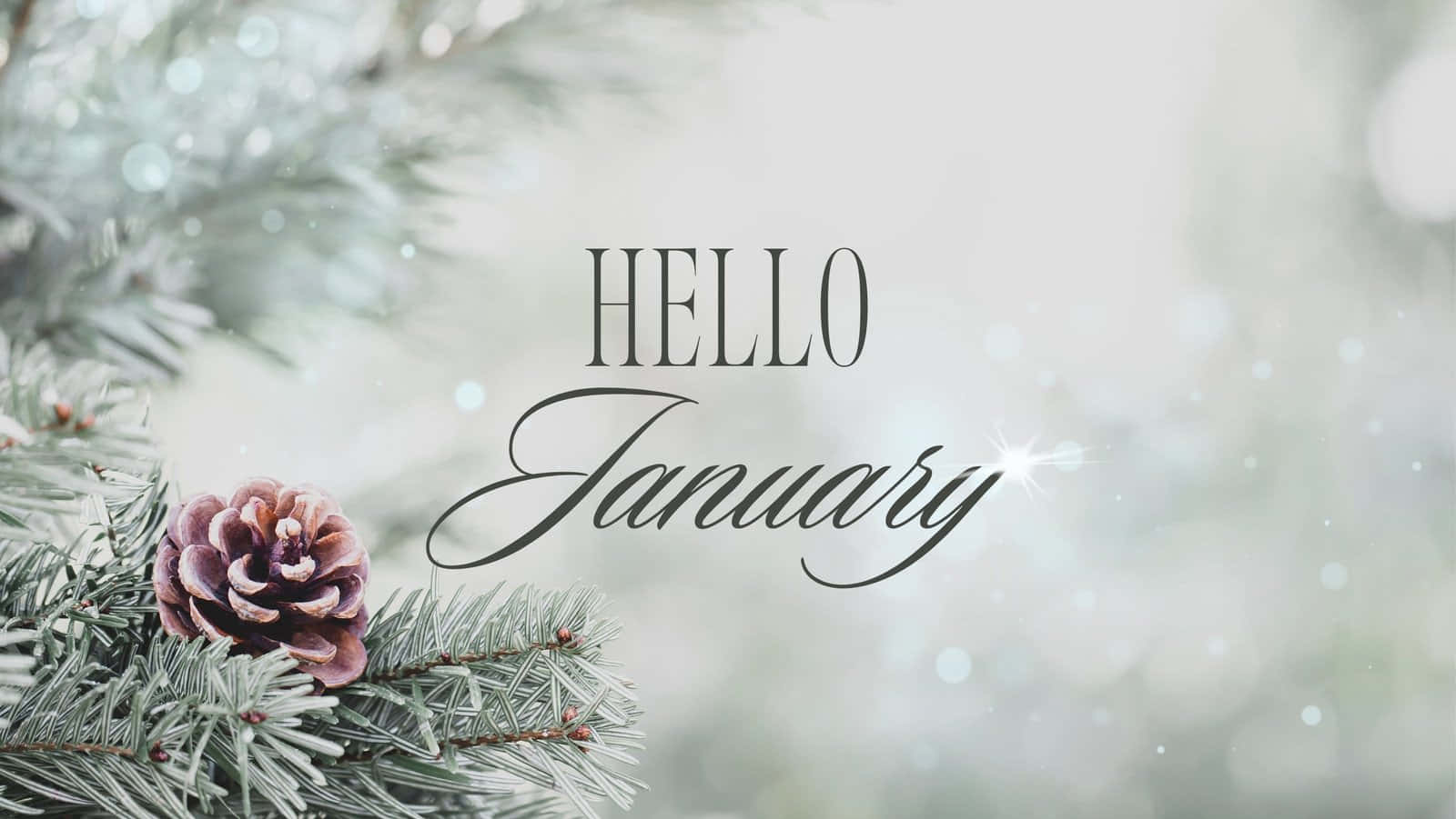 Welcome To January! Wallpaper