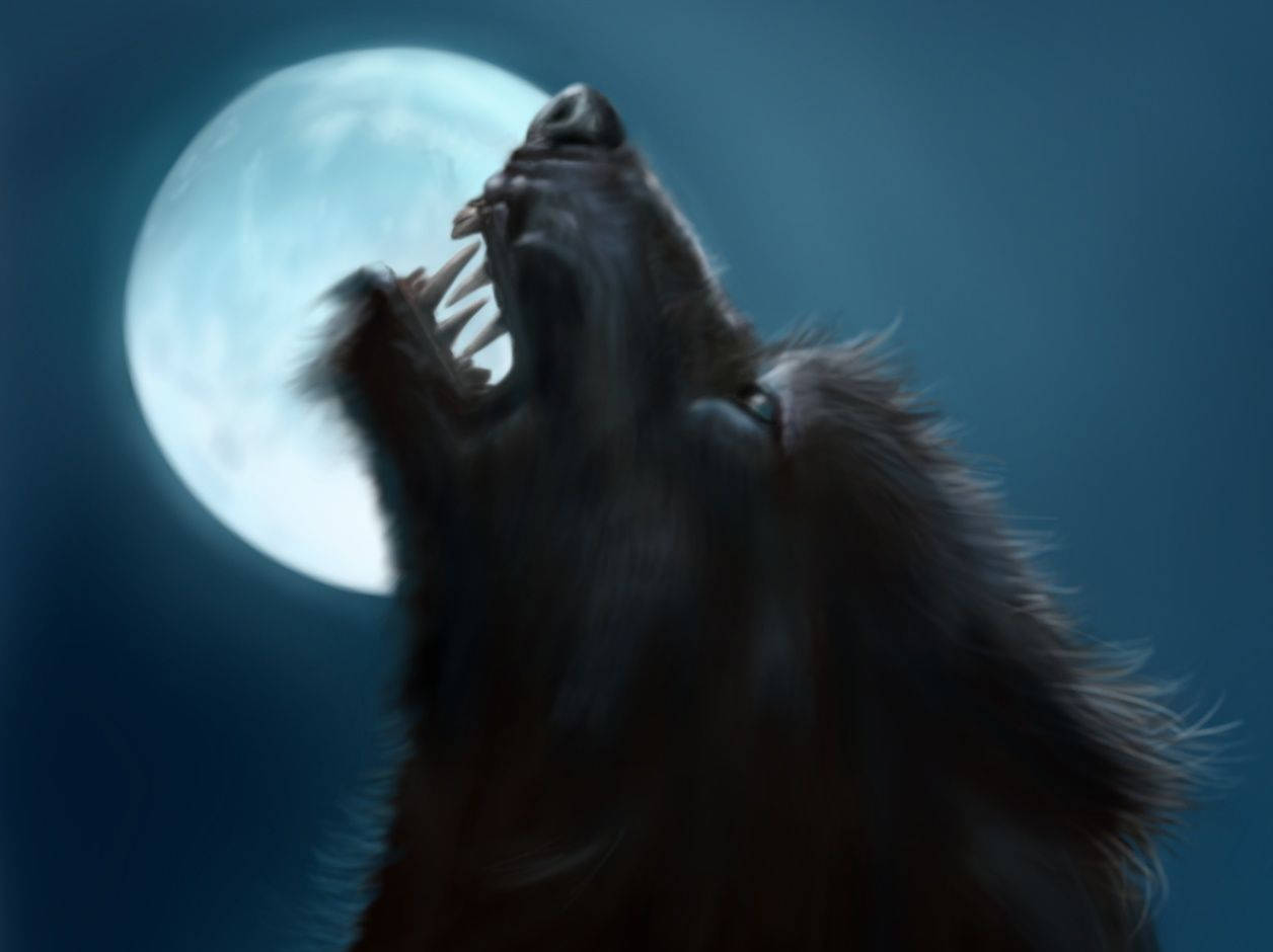 Werewolf Under Full Moon Wallpaper