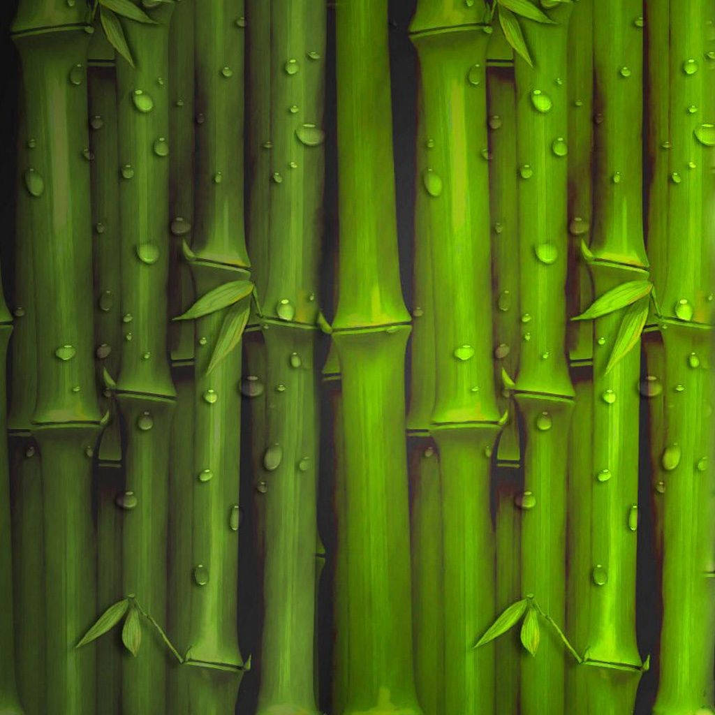 Wet Bamboo Stalks Art Iphone Wallpaper