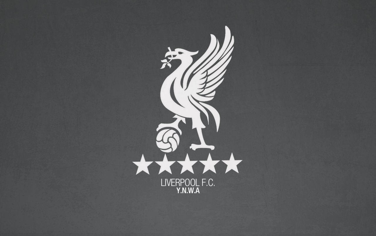 White And Gray Liverpool Fc Wallpaper