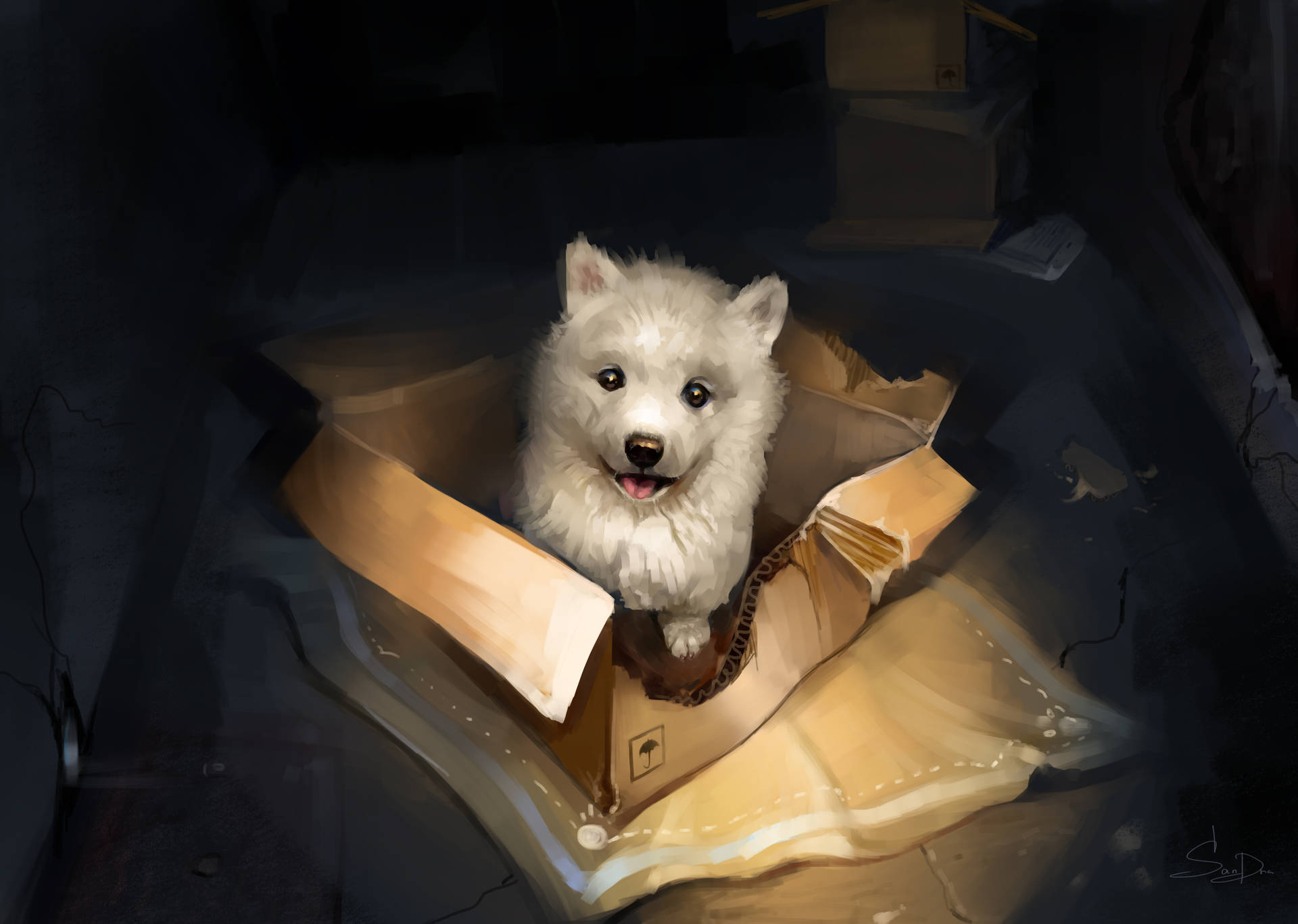 White Cute Puppy In The Box Wallpaper