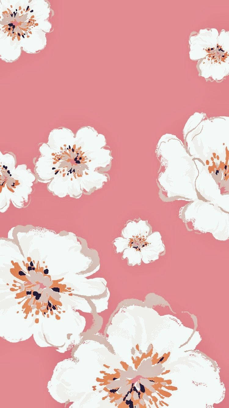 White Flowers Pinterest Wallpaper
