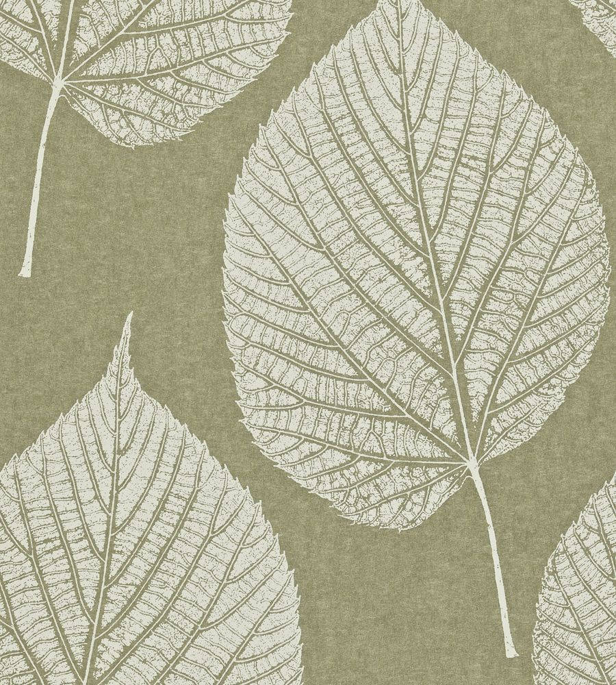 White Leaf Impression Wallpaper