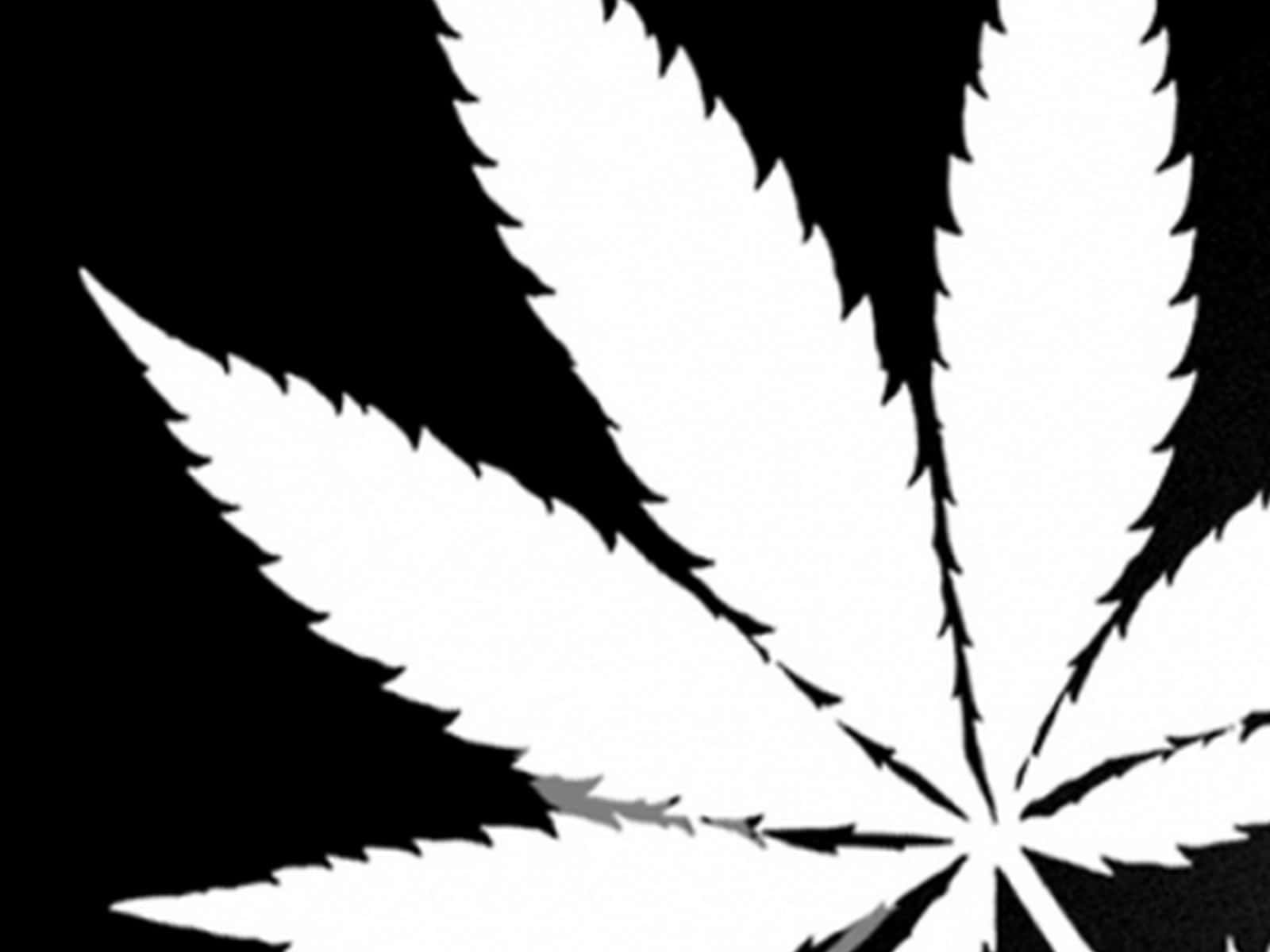 White Marijuana Leaf On Black Wallpaper