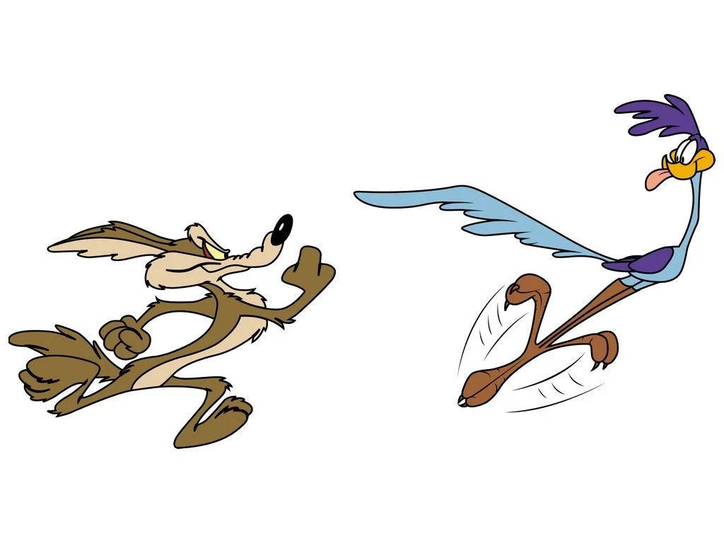 Wile E Coyote Of Looney Tunes Cartoon Wallpaper